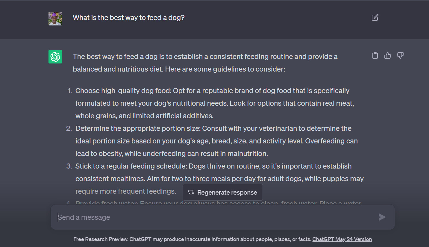 ChatGPT feed a dog prompt